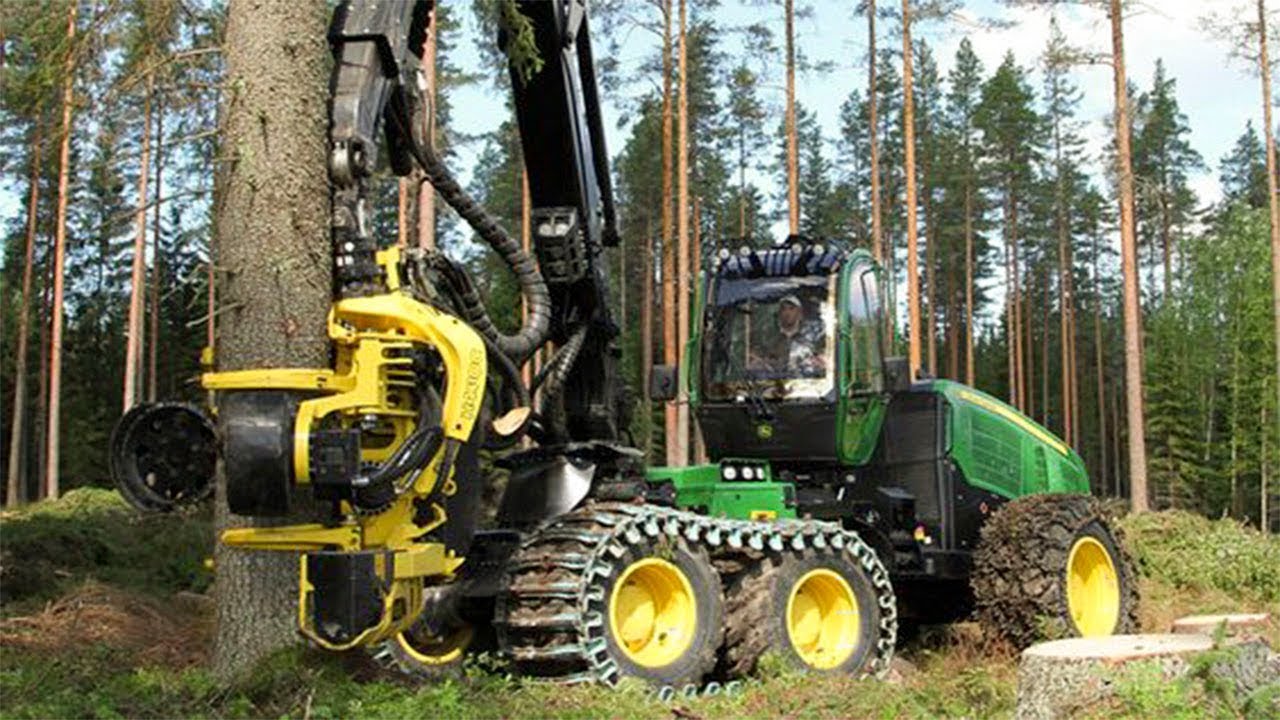 Forestry Caterpillar